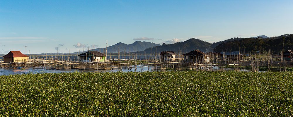 Lake-Tondano