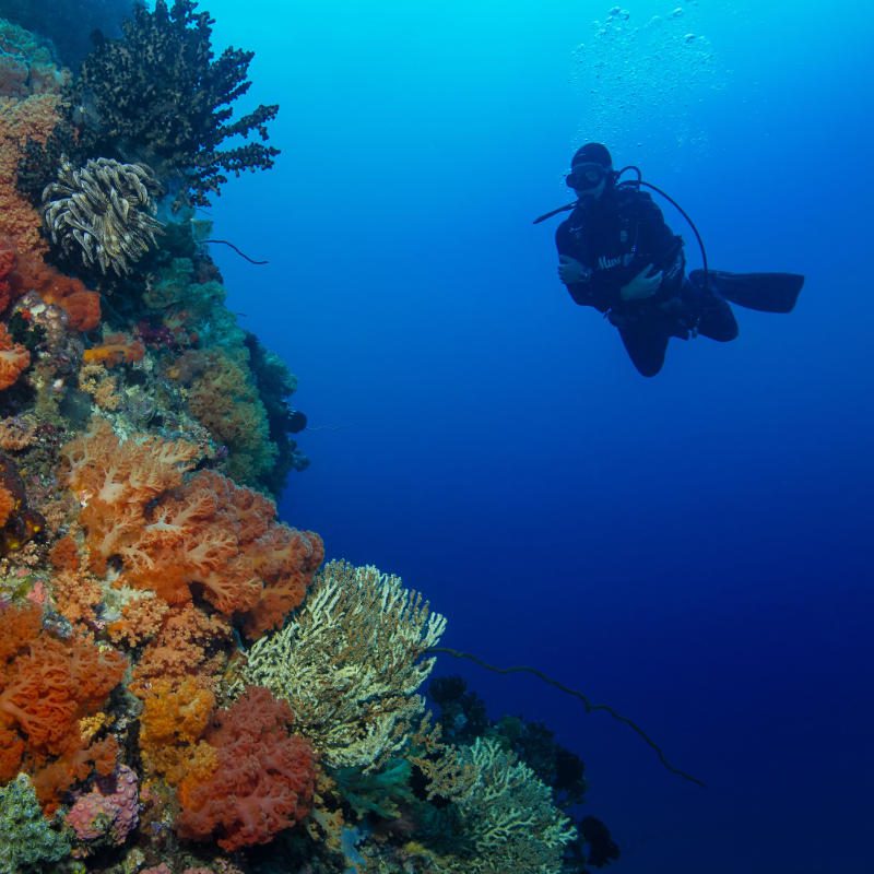 Promotions-dive-package01 Diving Bangka