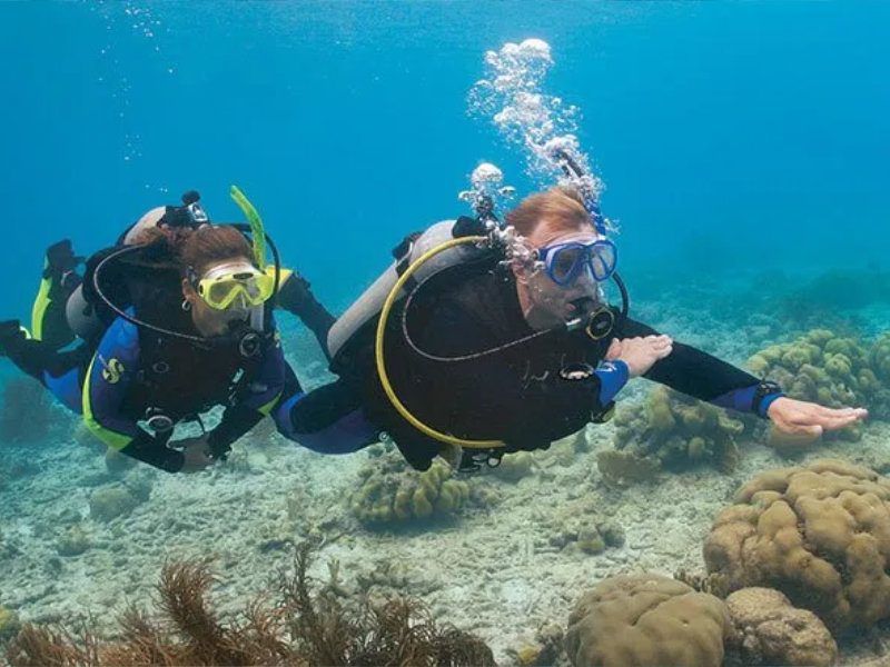 courses-aowd-01 PADI Courses