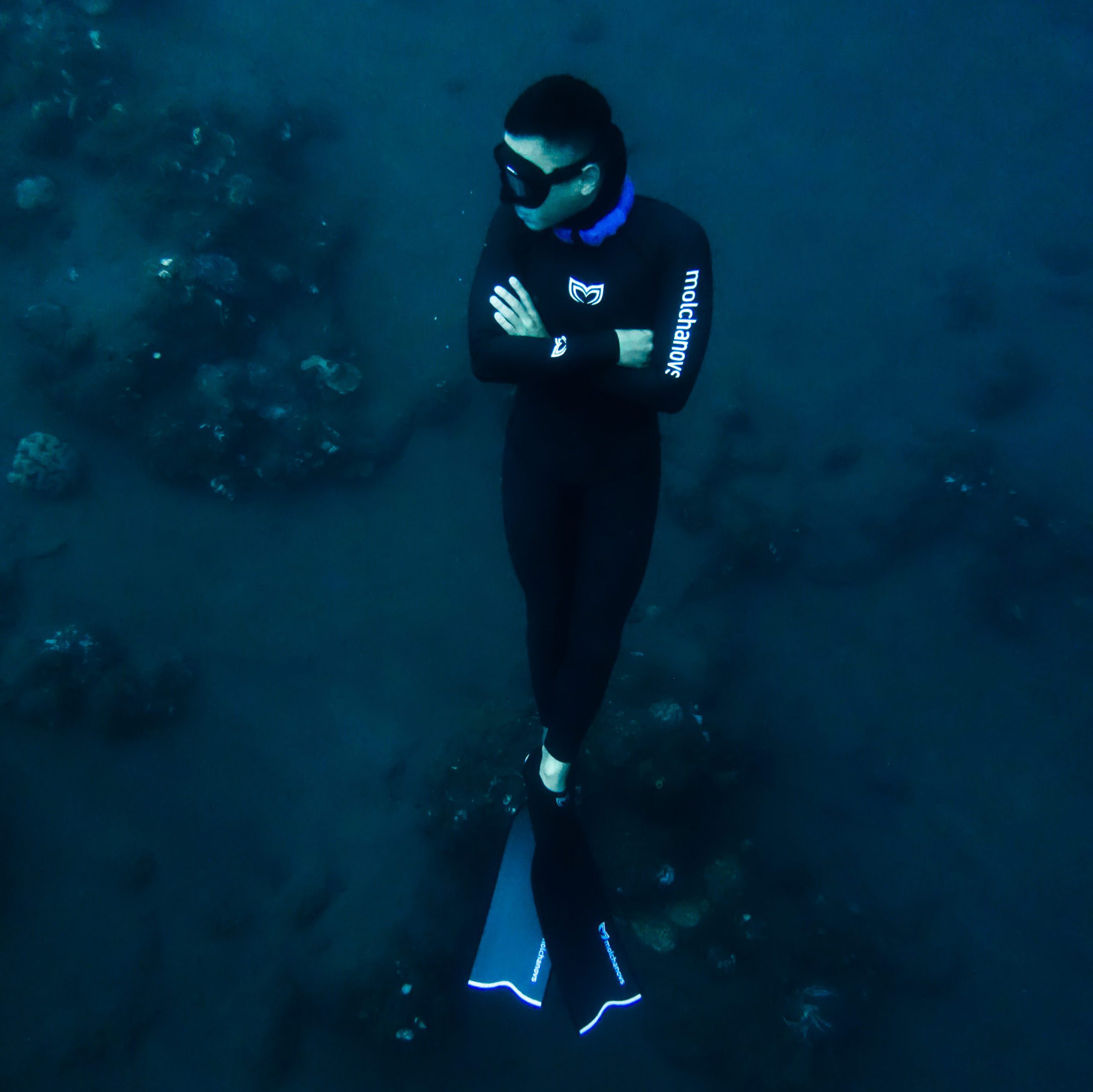 Freedive 6 manado freediving