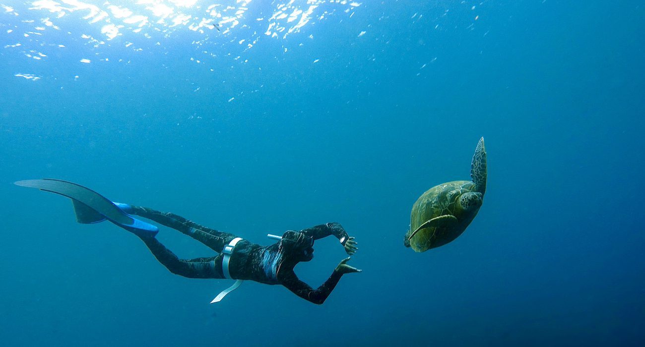 freediving Manado