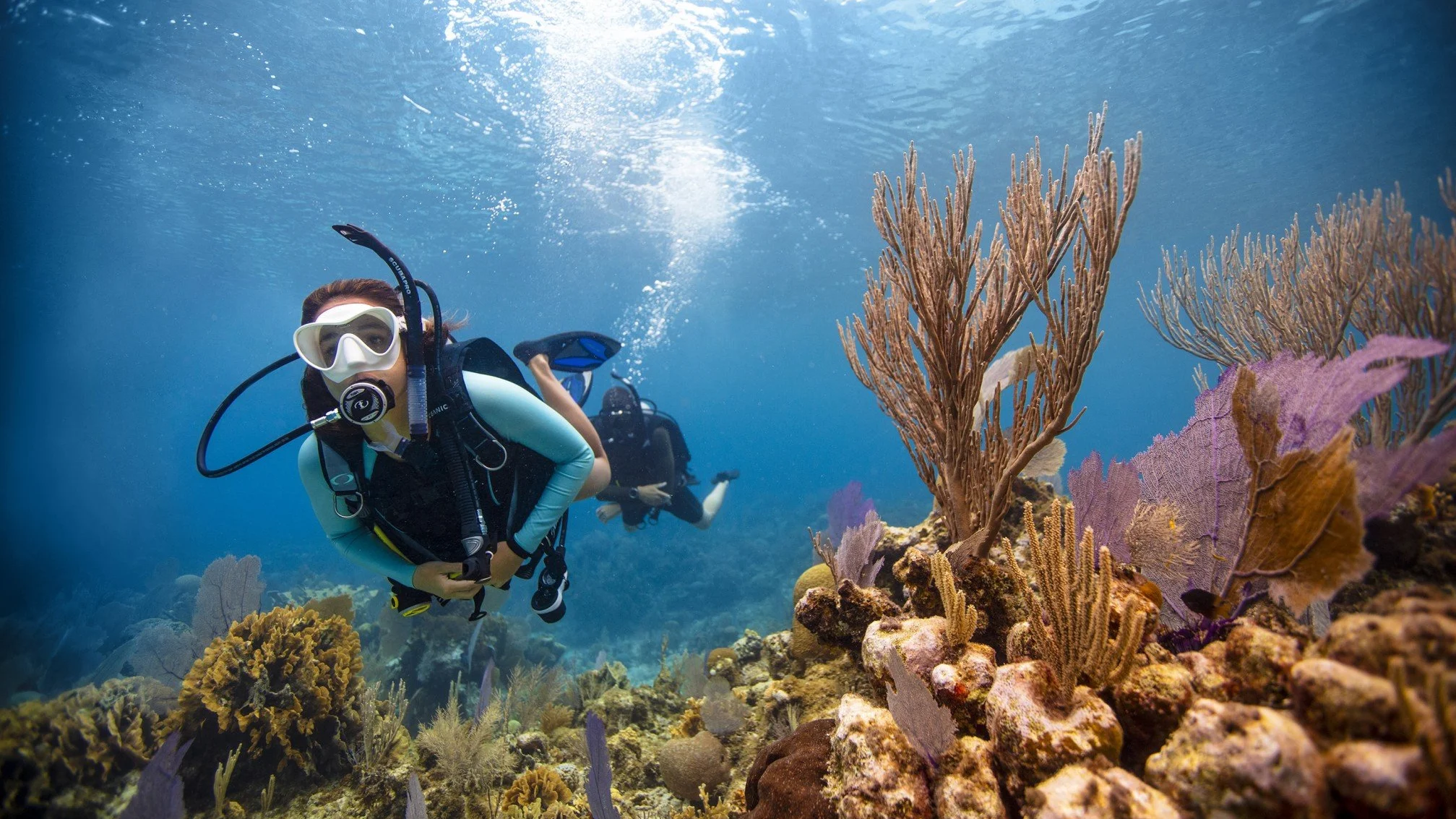 PADI Open Water