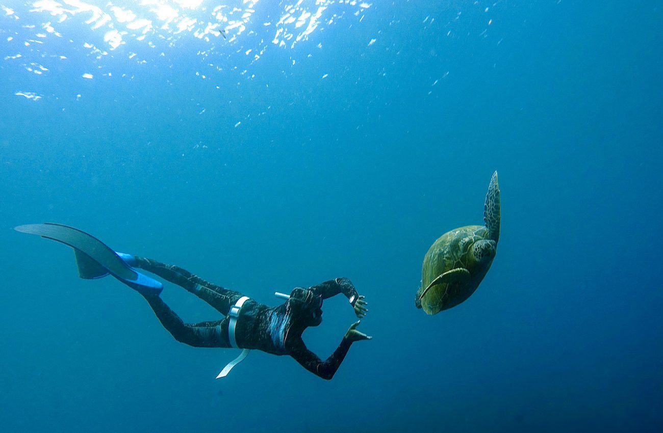 freediving manado