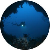 Angel's window Angels window at Lembeh